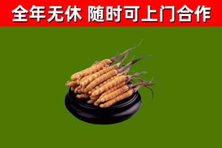 鸡东县烟酒回收冬虫夏草.jpg