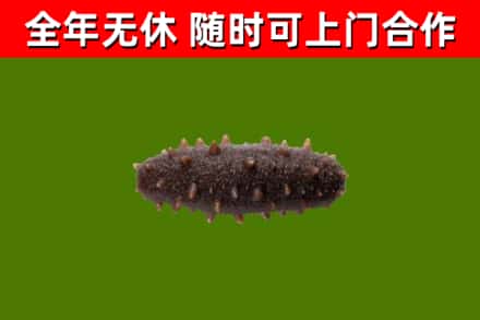 鸡东县烟酒回收干海参.jpg